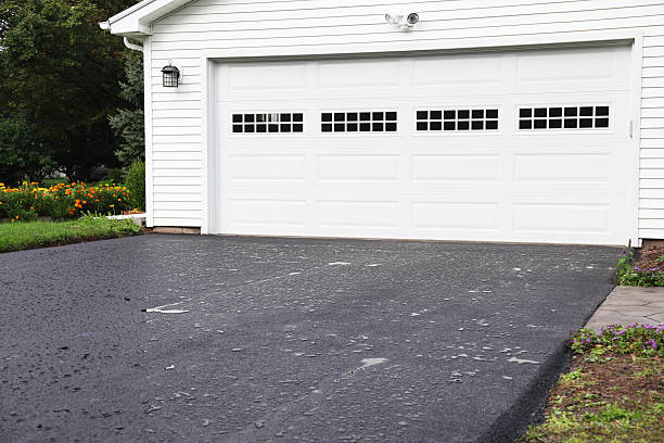 Best Basement Cleanout  in Orchard Homes, MT