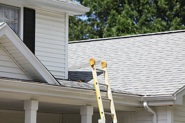 Best Demolition Debris Removal  in Orchard Homes, MT